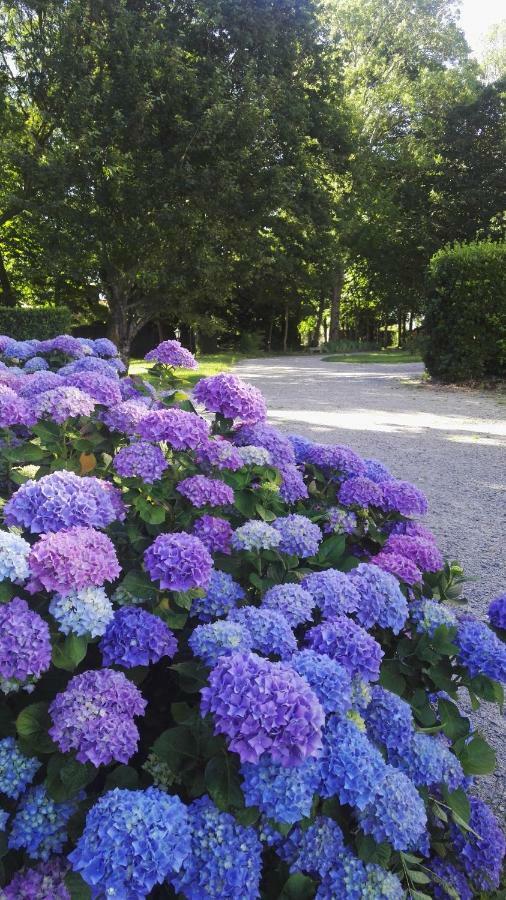 Saint-Viaud Domaine Du Plessis Grimaud B&B 외부 사진